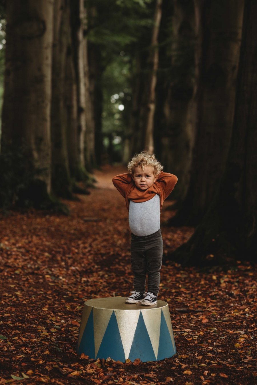 FIH Fotografie » Magische bos shoot